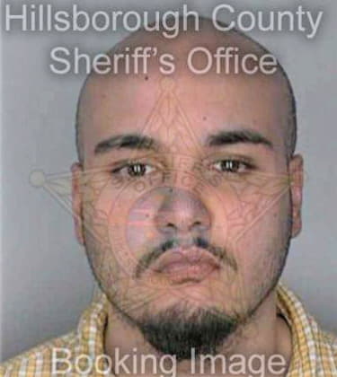 Miguel Nicholas - Hillsborough County, FL 