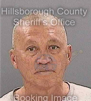 Tran Binh - Hillsborough County, FL 