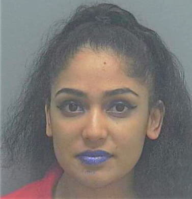 Rodriguez Ashley - Lee County, FL 