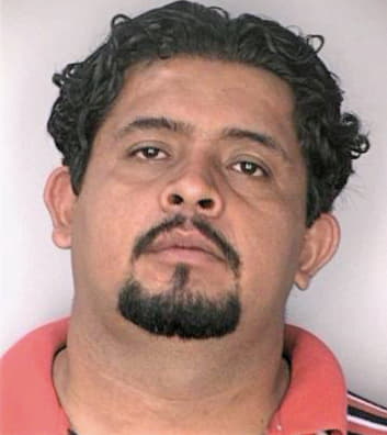 Ramirezmoreno Rossel - Hillsborough County, FL 