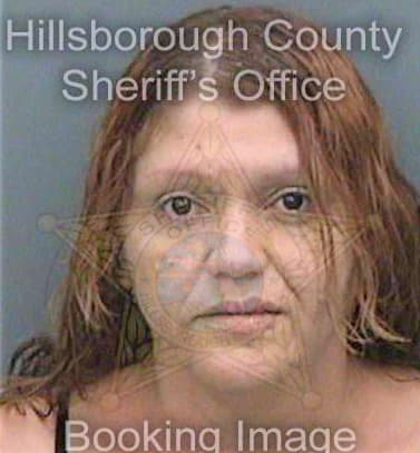 Nievesmartinez Vivian - Hillsborough County, FL 