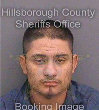 Villegas Daniel - Hillsborough County, FL 