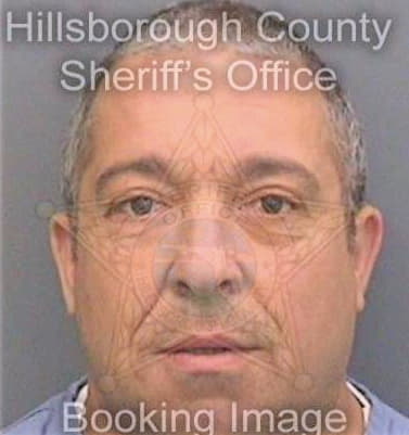 Gonzalez Anthony - Hillsborough County, FL 