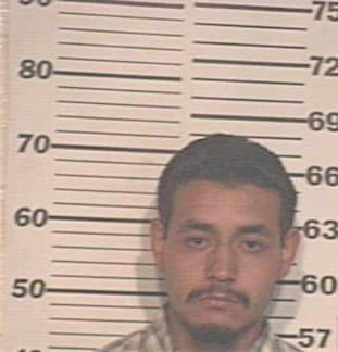 Alvarado Hugo - Hidalgo County, TX 