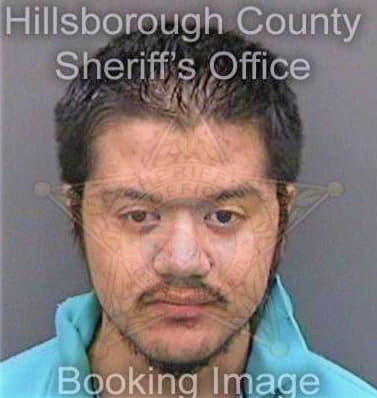 Terzian Corey - Hillsborough County, FL 