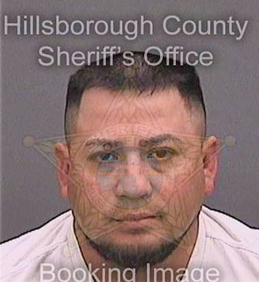 Gomez Luis - Hillsborough County, FL 