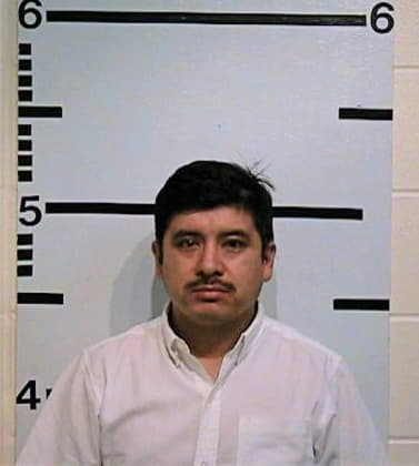 Sanchez Olivo - Kerr County, TX 