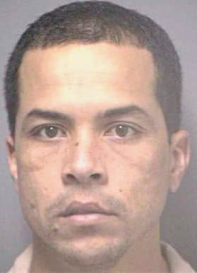 Ferrer Rene - Hillsborough County, FL 