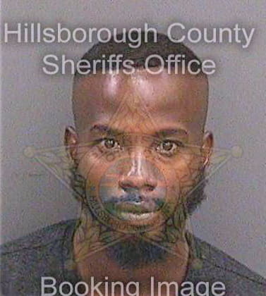 Lewis Demarcus - Hillsborough County, FL 