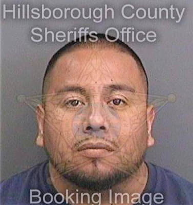 Sanchez Fernando - Hillsborough County, FL 