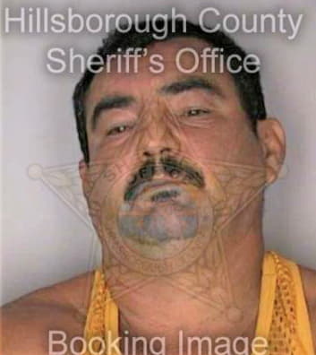 Mejiafernandez Oscar - Hillsborough County, FL 