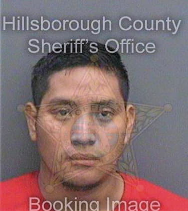 Ordonezperez Sergio - Hillsborough County, FL 