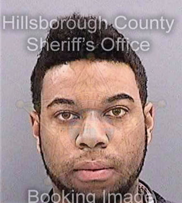 Lee Stefan - Hillsborough County, FL 