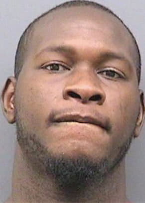 Levy Erick - Hillsborough County, FL 