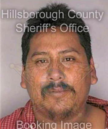 Garcia Humberto - Hillsborough County, FL 