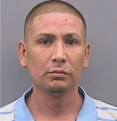 Sanchez Armando - Hillsborough County, FL 