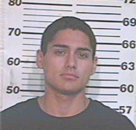 Hernandez Danny - Hidalgo County, TX 