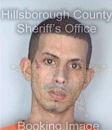 Vazquez Javiel - Hillsborough County, FL 