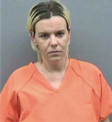 Mckinley Lisa - Hillsborough County, FL 