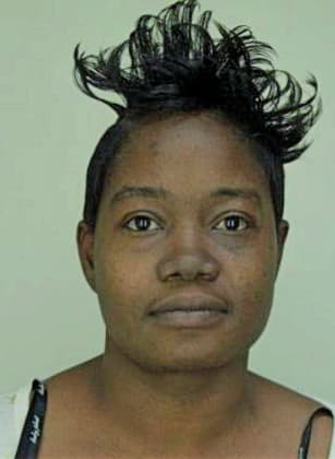 Mcswain Samirian - Hillsborough County, FL 