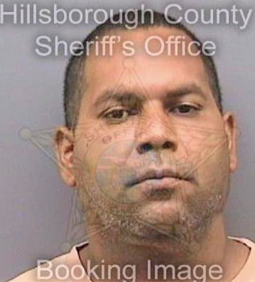 Mcdonald Bertran - Hillsborough County, FL 