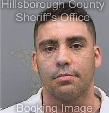 Ligon Lawrence - Hillsborough County, FL 