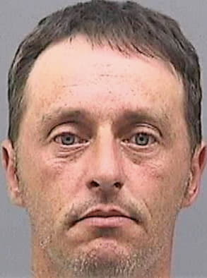 Medeiros William - Hillsborough County, FL 