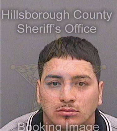 Reyesmaldonado Guillermo - Hillsborough County, FL 