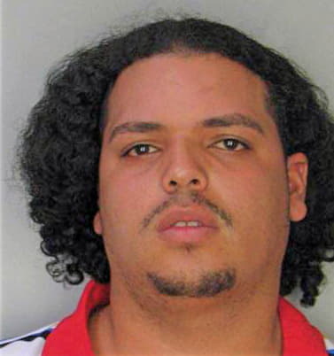 Vicente Rafael - Hillsborough County, FL 