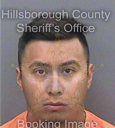 Ramirezsuarez Bryan - Hillsborough County, FL 