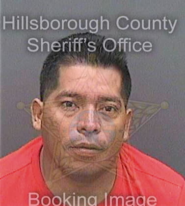 Vasquezlainez Santos - Hillsborough County, FL 