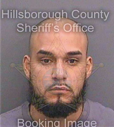 Nunez Daniel - Hillsborough County, FL 