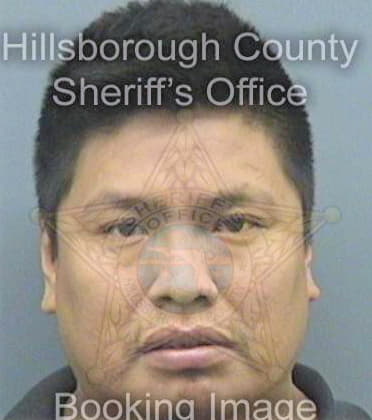 Coudozo Miguel - Hillsborough County, FL 