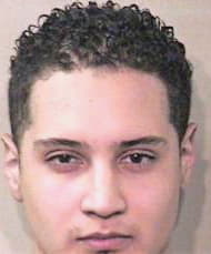 Hernandez Alan - Leon County, FL 