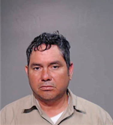 Gonzalez Luis - Hidalgo County, TX 