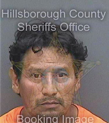 Galveztomas Moises - Hillsborough County, FL 