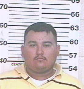 Trejo Hector - Hidalgo County, TX 