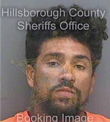 Ojeda Hector - Hillsborough County, FL 