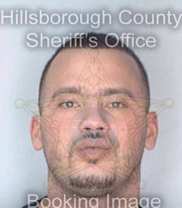 Santiago Rico - Hillsborough County, FL 