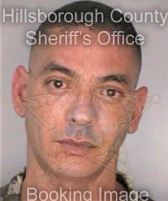 Brito Juan - Hillsborough County, FL 