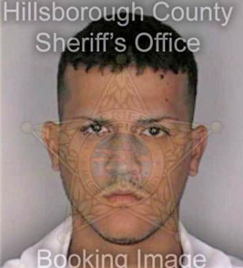 Burgos Luis - Hillsborough County, FL 