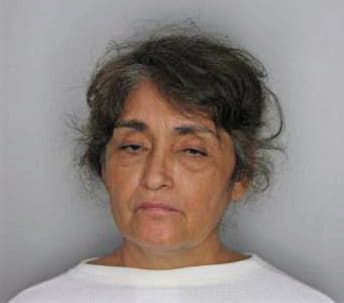 Deleon Elvira - Hillsborough County, FL 