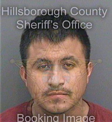 Gonzalezcantellano Jose - Hillsborough County, FL 