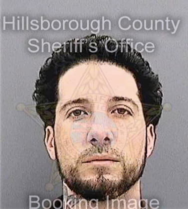 Gonzalez David - Hillsborough County, FL 