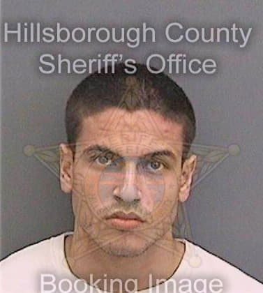 Diaz Eliezer - Hillsborough County, FL 