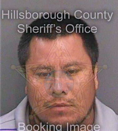 Trejo Sebastian - Hillsborough County, FL 