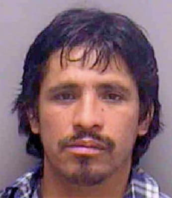 Garrido Jacobo - Lee County, FL 