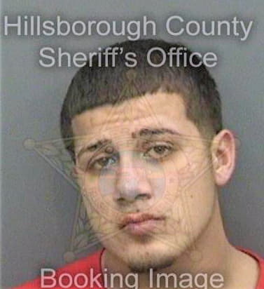 Barron Bryan - Hillsborough County, FL 