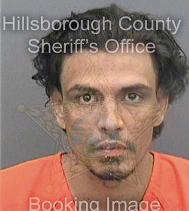 Ramon-Miranda Juan - Hillsborough County, FL 