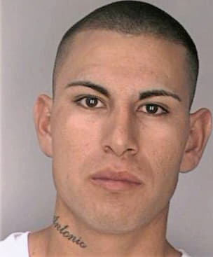 Perez Antonio - Hillsborough County, FL 